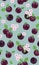 Fresh purple plum seamless pattern with pink cherry blossom on green background