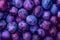 Fresh purple plums background. Top view. Close-up