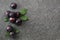Fresh purple plums with leaves on stone top view copy space