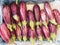 Fresh Purple Striped Eggplants in Fruit and Vegetable Shop