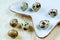 Fresh quail bird eggs in shell on plate and table