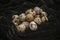 Fresh quail eggs on a black velvet background, quail eggs for a delicious Easter holiday