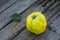 Fresh quince fruits on wooden table. Still life of food. Exotic fruits. Autumn harvest. Weird fruit. Strange fruit. Weird form.