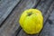 Fresh quince fruits on wooden table. Still life of food. Exotic fruits. Autumn harvest. Weird fruit. Strange fruit. Weird form.