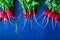 Fresh radish on blue background. Top view. Three bunches of small radishes.