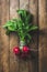 Fresh radish bunch over wooden background