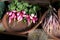 Fresh Radish Radishes Farm Produce for Market Sale Sign