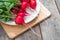 Fresh radish with tops on a wooden background. Summer harvested red radish. Copy space.