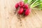 Fresh radishes, Raphanus sativus, on wooden plate