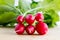 Fresh radishes, Raphanus sativus, on wooden plate