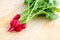 Fresh radishes, Raphanus sativus, on wooden plate