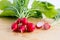 Fresh radishes, Raphanus sativus, on wooden plate