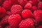 Fresh raspberries background