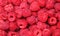 Fresh raspberries background closeup photo