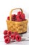 Fresh raspberries in basket