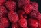 Fresh raspberries close up. Selective focus. Healthy food background