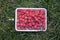 Fresh raspberries plastic in a plate with water