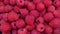 Fresh raspberries summer fruits for a healthy diet