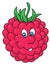 Fresh raspberry cartoon