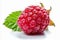 Fresh raspberry with high detailed quality on white background for advertising campaigns