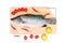 Fresh raw Asian Sea Bass fish on wooden cutting board with lemon, tomato and chilli on white background, top view. Seafood asian