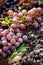 Fresh raw berries of grapevines, stony ground, organic vitis vinifera