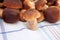 Fresh and raw boletus edulis on kitchen towel, gourmet fungi porcino