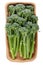 Fresh raw broccolini or baby broccoli on cardboard food tray isolated on white. Top view. Close-up