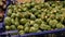 Fresh raw brussels sprouts and green salad on the market