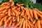 Fresh raw bunches of carrots