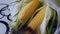 Fresh raw corn, fresh soft delicious corn, natural flavored corn
