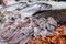 Fresh raw European squids Loligo vulgaris, salmon fishes, striped prawns, depp-water rose shrimps, octopus on the counter at the