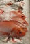 Fresh raw fish on fishmonger\'s slab