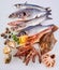 Fresh Raw Fish, Shellfish and Seafood on White