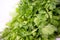 Fresh raw green cilantro. Farm seasonal spanish verdure, fruits and vegetables. Potherb.