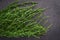 Fresh raw green samphire