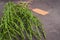 Fresh raw green samphire