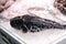 Fresh raw Japanese Fugu Fish Puffer Fish on iced at supermarket, Fugu Fish or Puffer Fish Most dangerous seafood from venom but