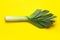 Fresh raw leek on yellow background, top view.  onion