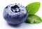 Fresh raw macro blueberry berry with leaf on white.AI Generative