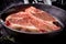 Fresh raw meat t-bone steak in a skillet, marinated with herbs and spices, shot with a dark background. Close up