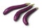 Fresh raw purple eggplants