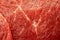 Fresh raw red meat texture closeup, marbled meat