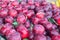 Fresh raw ripe juicy sweet plums sold on outdoor market. Farm seasonal spanish fruits