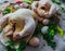 Fresh ,raw,rustic organic chickens prepared for baking in the oven