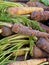 Fresh raw rutabagas at a vegetable market