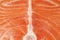 Fresh raw Salmon texture background