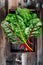 Fresh raw swiss rainbow chard leaves on wooden background.