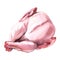 Fresh raw whole turkey, uncooked meat, food ingredient, isolated object, close-up, top above view, hand drawn watercolor