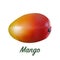 Fresh realistic mango